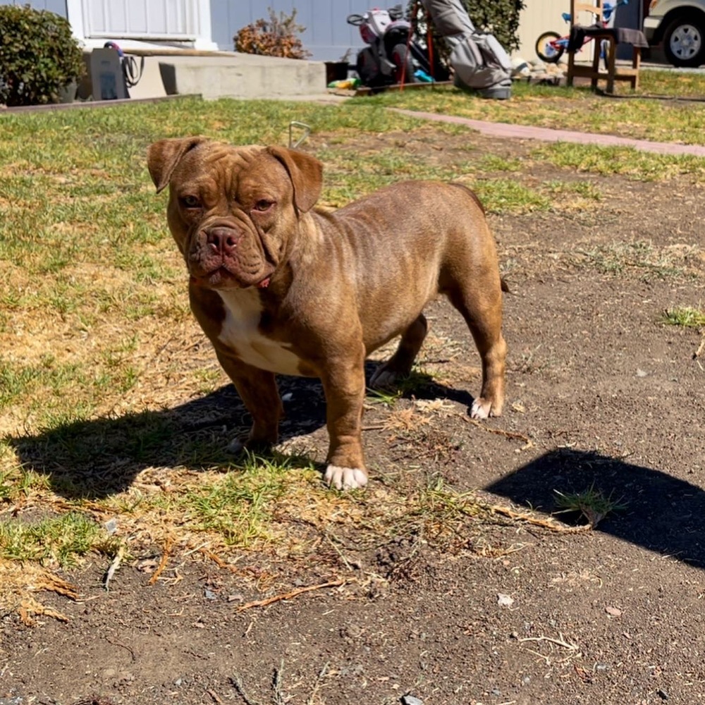 Meet your Posher, John